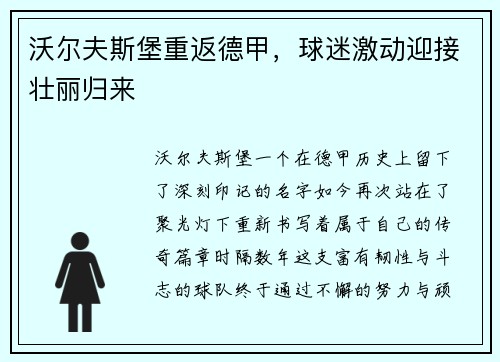沃尔夫斯堡重返德甲，球迷激动迎接壮丽归来