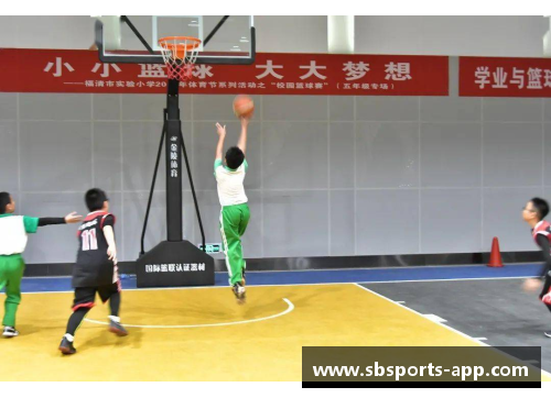 sb体育官网宋琛：从校园篮球到职业联赛，追寻篮球梦想的不解之缘 - 副本